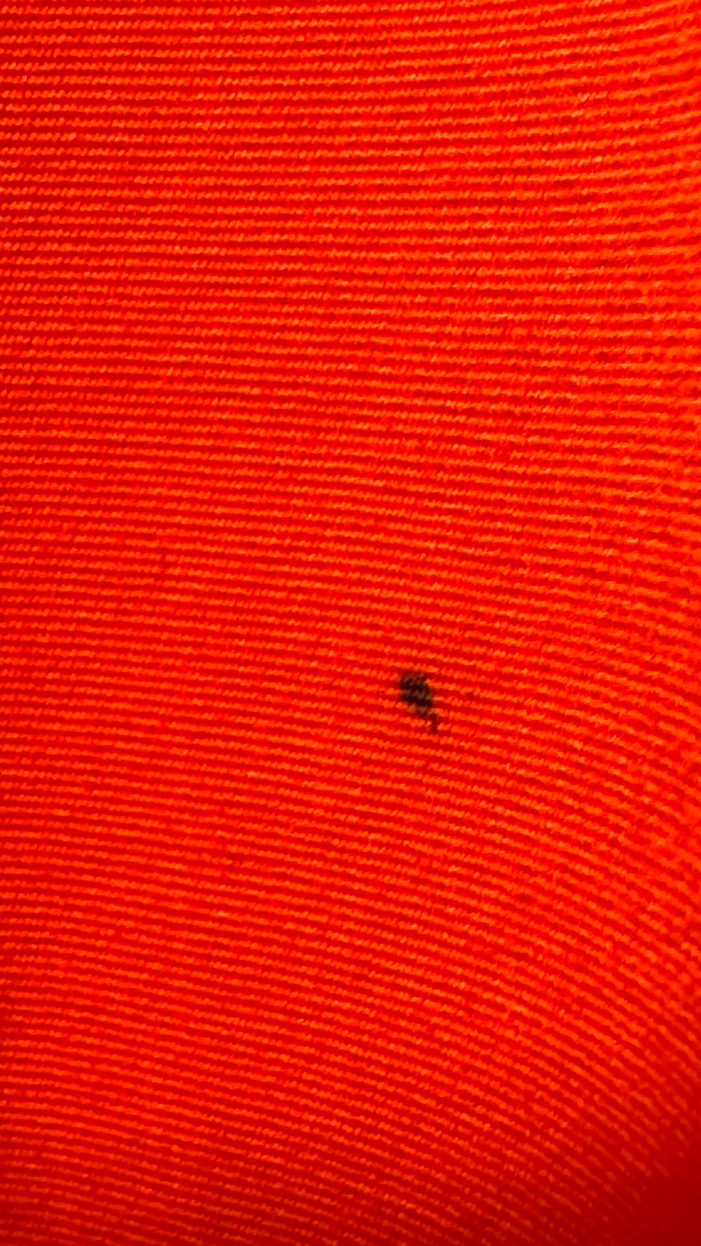 Pantalon rouge Courrèges