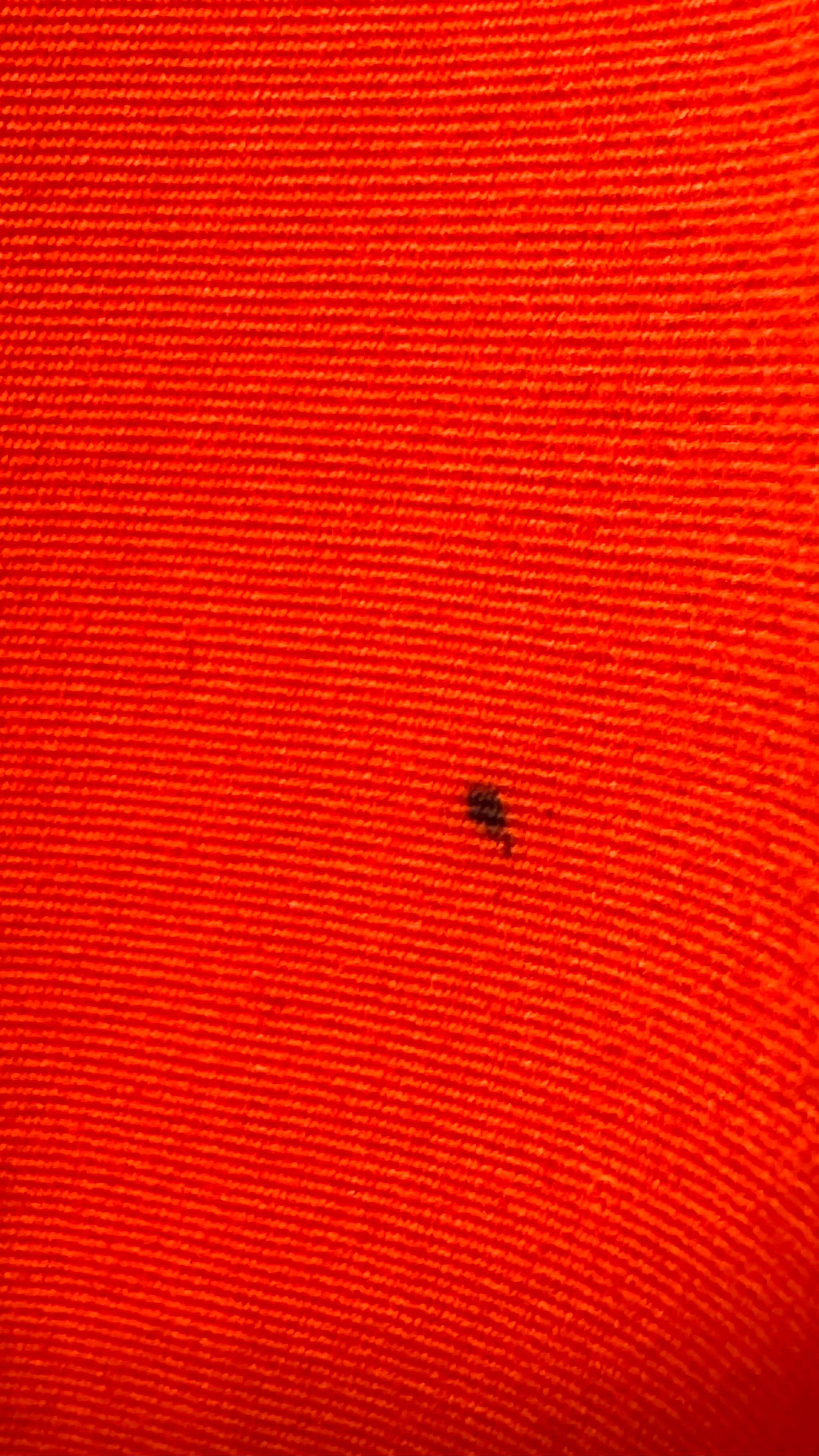 Pantalon rouge Courrèges