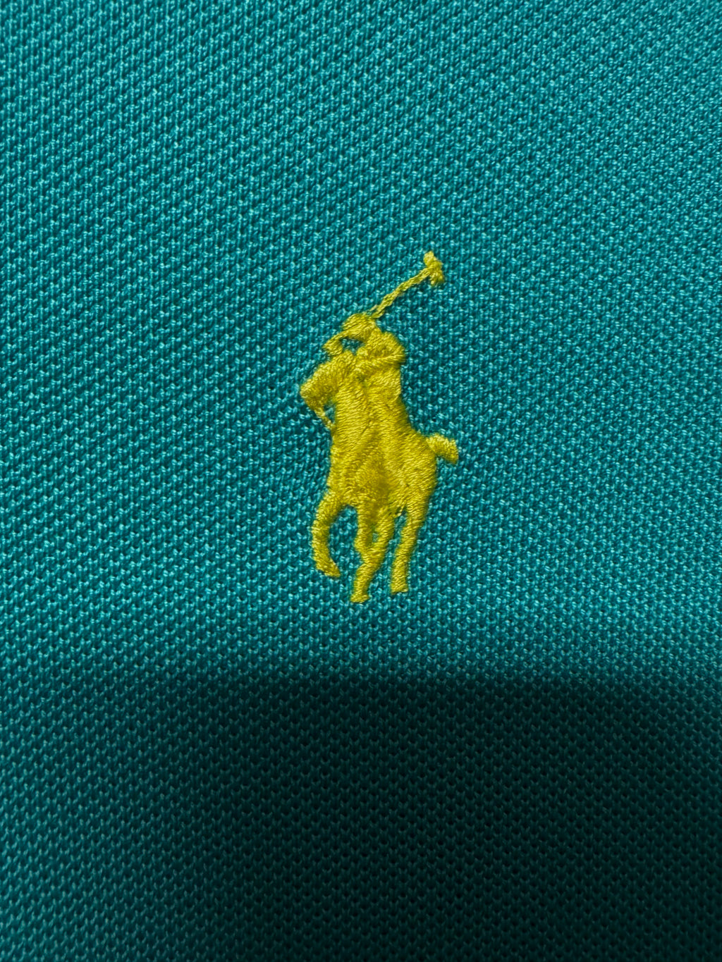 Polo Ralph Lauren Bleu-Vert